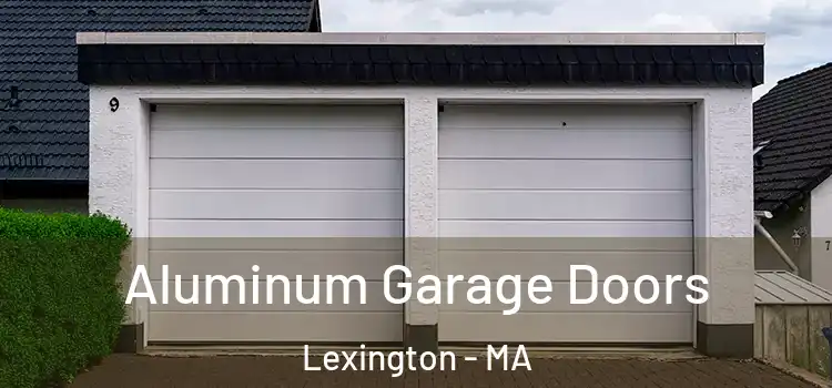  Aluminum Garage Doors Lexington - MA