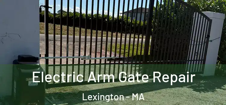  Electric Arm Gate Repair Lexington - MA