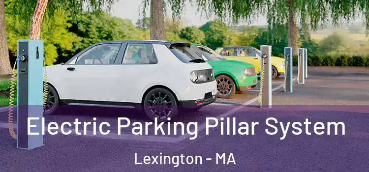  Electric Parking Pillar System Lexington - MA