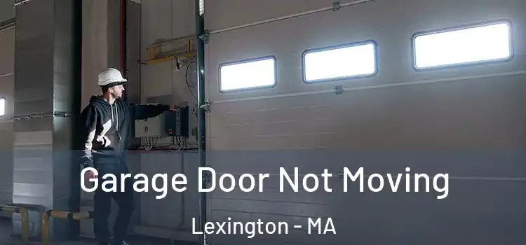  Garage Door Not Moving Lexington - MA