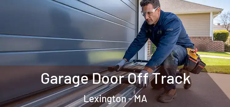  Garage Door Off Track Lexington - MA