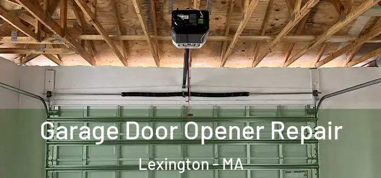  Garage Door Opener Repair Lexington - MA