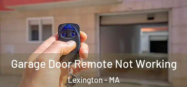  Garage Door Remote Not Working Lexington - MA