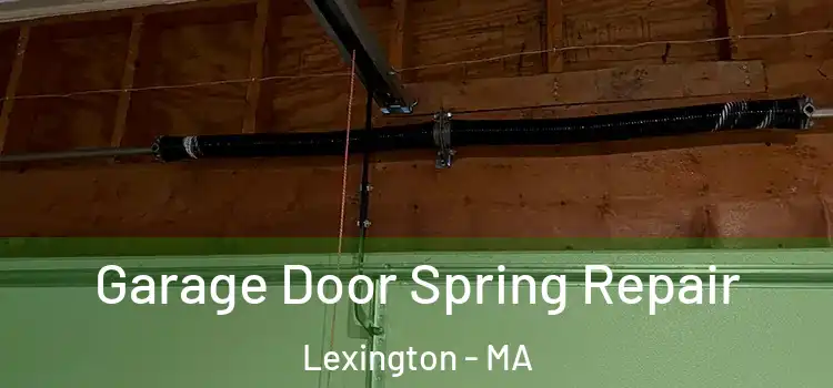  Garage Door Spring Repair Lexington - MA