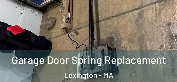  Garage Door Spring Replacement Lexington - MA