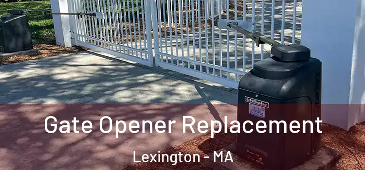 Gate Opener Replacement Lexington - MA
