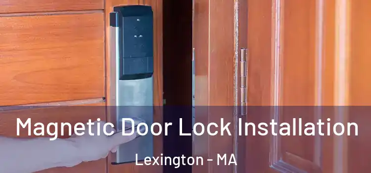  Magnetic Door Lock Installation Lexington - MA
