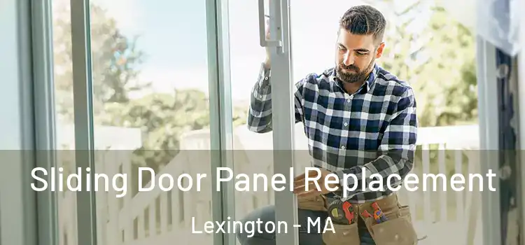  Sliding Door Panel Replacement Lexington - MA